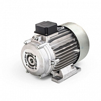 Двигатель MAZZONI / M100 + TERMIC DF - Двойной фланец / Муфта 4,0 кВт / 1450 об/мин 400 В - 50 Гц