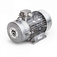 Двигатель MAZZONI + TERMIC DF - Двойной фланец / Муфта 15,0 кВт / 1450 об/мин 400 В - 50 Гц